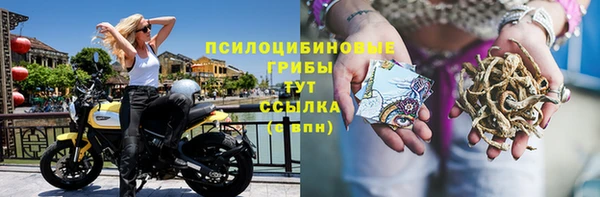 ешки Заволжье